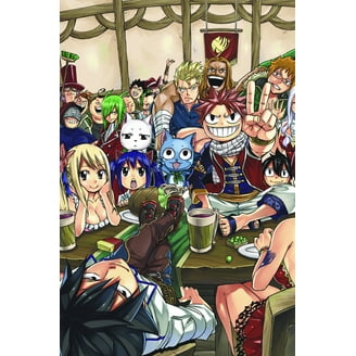 FAIRY TAIL Manga Box Set: FAIRY TAIL Manga Box Set 5 (Series #5