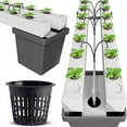 thumbnail image 5 of 25 Pack Heavy Duty 3-Inch Round Net Pots for Orchids & Hydroponics, 5 of 5