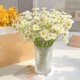 thumbnail image 1 of Bellis Perennis Artificiales Colgantes Blancas - Paquete de 6 Flores de Plástico Resistentes a Los Rayos Uv para Exteriores/Interiores, Jardín, Porche, Bodas y Decoración Del Hogar, 1 of 6