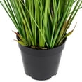 thumbnail image 6 of Northlight 27" Artificial Onion and Pampas Grass in Black Pot, 6 of 6