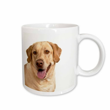 

3dRose Oregon Keizer Labrador Retriever dog - US38 RBR0163 - Rick A. Brown Ceramic Mug 11-ounce