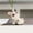 Pink, variant on Creative Ceramic Bunny Figurine, 7.3cm Miniature Animal Statue for Living Room, Shelf & Tabletop Display, Cute Home Decor Ornament