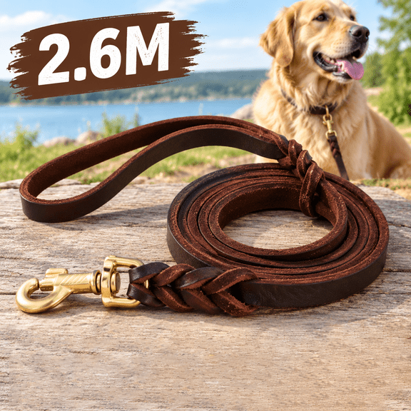 Braided Leather Dog Leash 8.5ft for Large Dogs