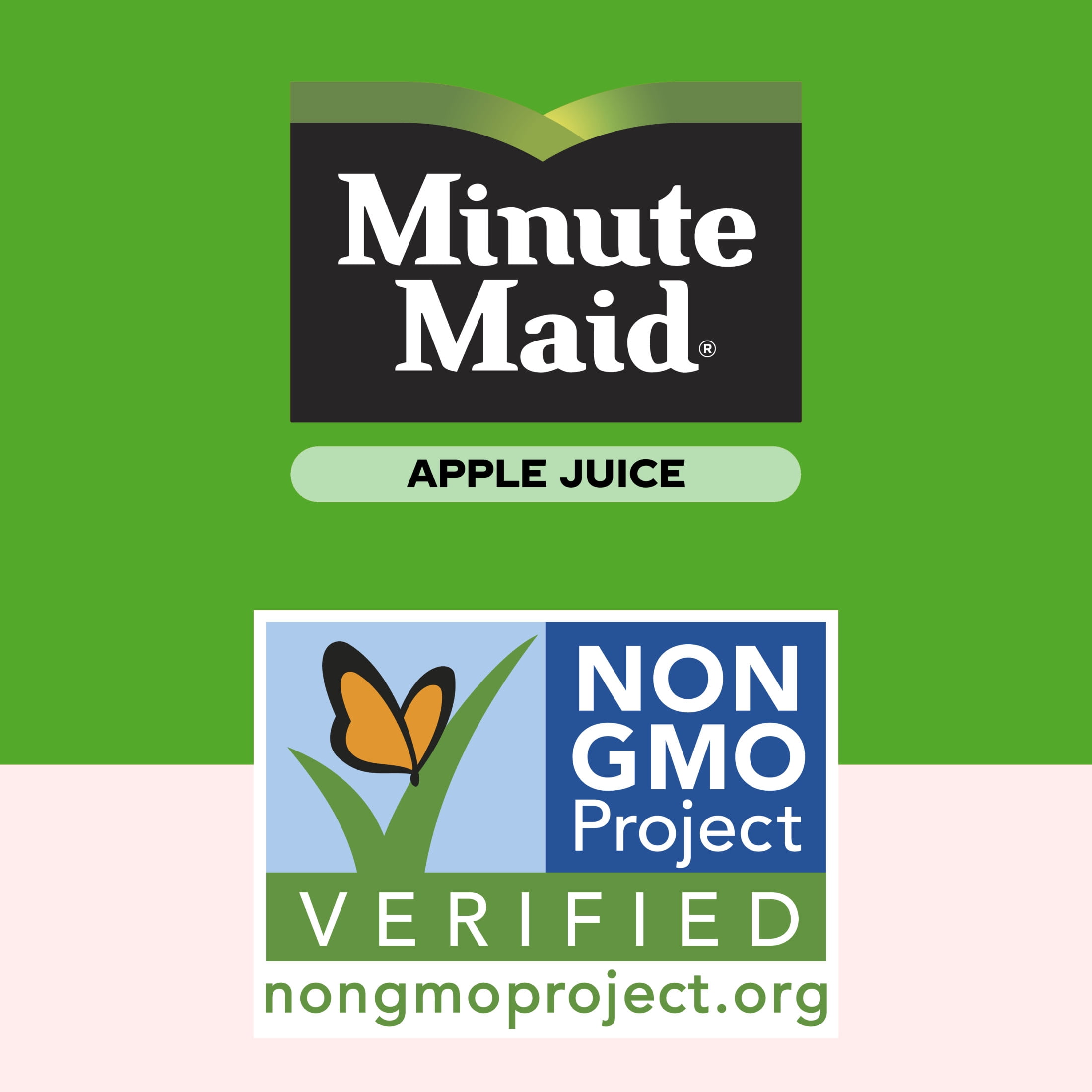 (5 pack) Minute Maid Apple Juice Cartons, 6 fl oz, 8 Pack
