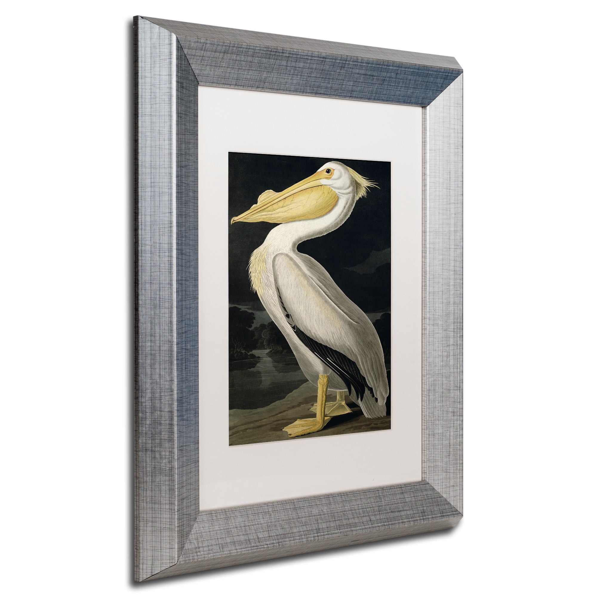 Trademark Fine Art "American White Pelican" Canvas Art by John James Audubon White Matte, Silver Frame