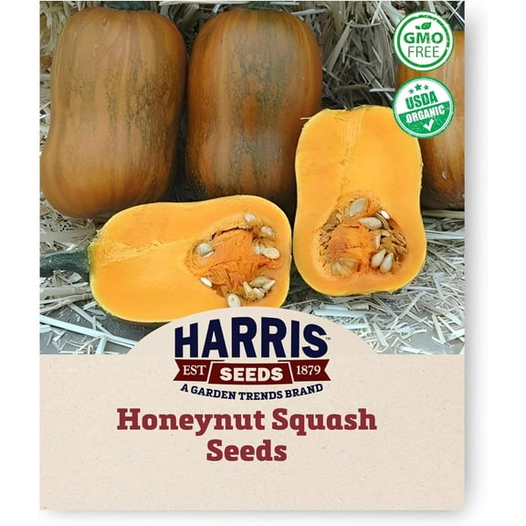 Harris Seeds - Honeynut Butternut Squash Seeds Home Garden Planting - 25 Seeds
