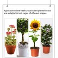 thumbnail image 3 of Scienceny Redes de fútbol para jardín: disfrute del juego y proteja sus plantas Red de jardín para parches de verduras Malla fina Durable Jardín y Patio 1.2 * 0.8 metros, 3 of 6