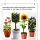 thumbnail image 5 of Riwesomey Malla de jardín para parche de verduras: proteja el jardín con malla fina Malla de jardín para parche de verduras Malla fina Jardín y Patio 1*1 metros, 5 of 6
