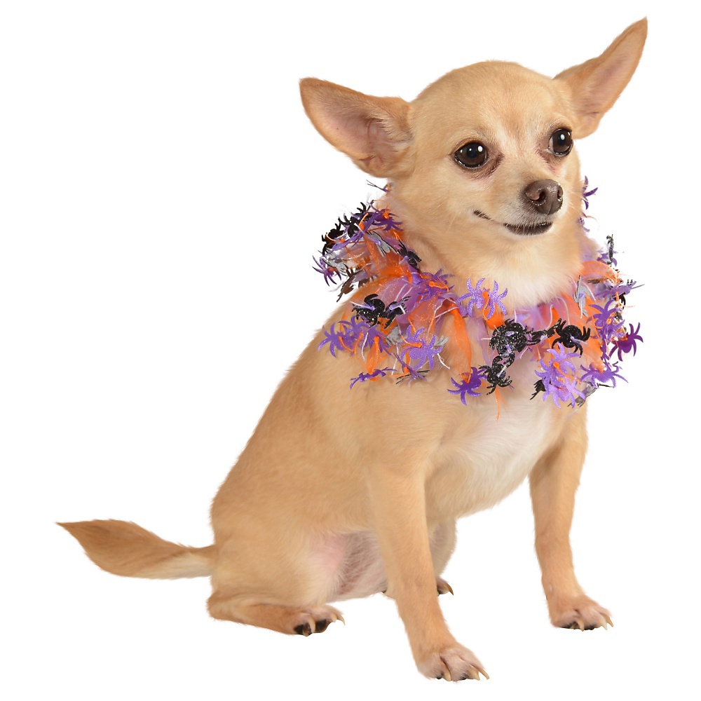 Dog Tulle Collar Pet Costume Spider L/XLarge