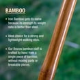 thumbnail image 4 of Brazos Free Form Red Bamboo Wood Walking Stick, 58 Inch, 4 of 6
