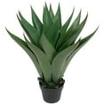 thumbnail image 3 of Northlight Real Touch™️ Artificial Green Agave Americana Succulent Potted Plant - 26", 3 of 8