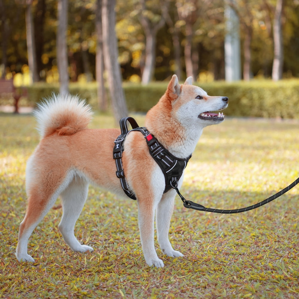 PoyPet Dog Harness and Leash Combo, Escape Proof No Pull Vest Harness, Reflective Adjustable Soft Padded Pet Harness with Handle for Small to Large Dogs