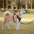 thumbnail image 3 of PoyPet Dog Harness and Leash Combo, Escape Proof No Pull Vest Harness, Reflective Adjustable Soft Padded Pet Harness with Handle for Small to Large Dogs, 3 of 9
