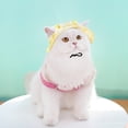 thumbnail image 3 of Cat Hats for Cats , Cat Sun Hat with Ear Hole, Cat Cowboy Hats sunscreen,Adjustable Rope Buckle Bucket Hat for Pets, 3 of 4