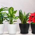 thumbnail image 2 of 6PCS Plastic Green Vines Pot Keep Your Desktop Clean with Tray Design for Outdoor Orchid Plants Flower, 2 of 5