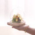 thumbnail image 3 of 1 Set Round Shape Floral Glass Cover Fresh Flower Glass Bell Jar Gift Decoration, 3 of 5