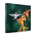 thumbnail image 2 of Tangletown Fine Art Daylilies by Julie Peterson Poster Frame - 21 x 27 x 1.5 in., 2 of 3
