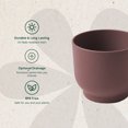 thumbnail image 3 of Bloem Enzo 4" Plastic Round Decorative Planter, Merlot, 6-Pack, 3 of 7