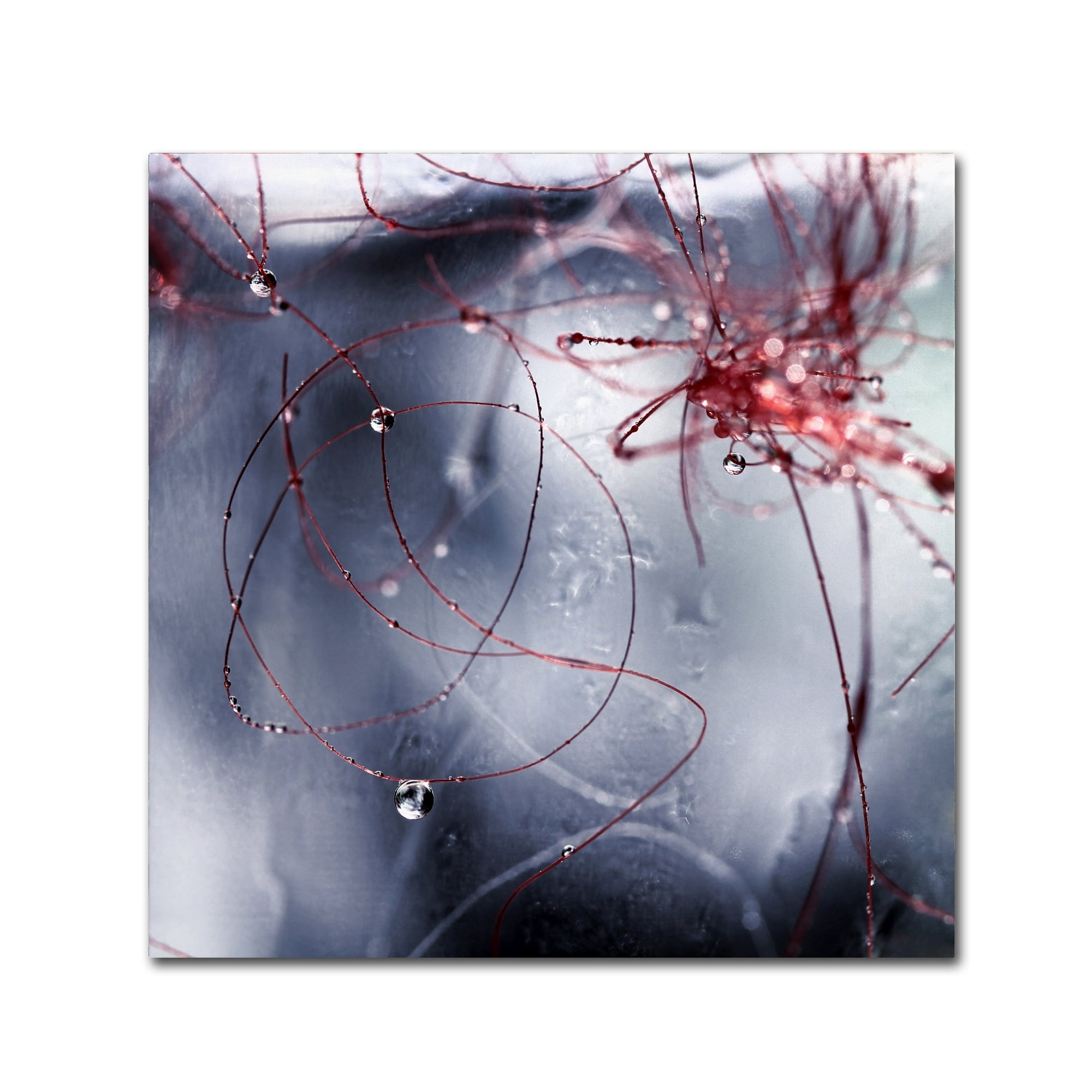 Trademark Fine Art "One Day I'll Find You" Canvas Art by Beata Czyzowska Young