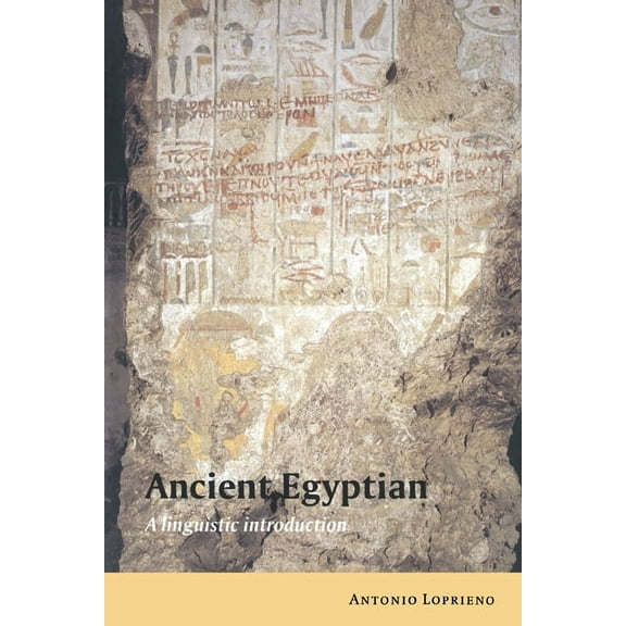 Ancient Egyptian: A Linguistic Introduction, (Paperback)