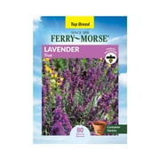 Ferry-Morse 225MG Lavender True Herb Plant Seeds Full Sun