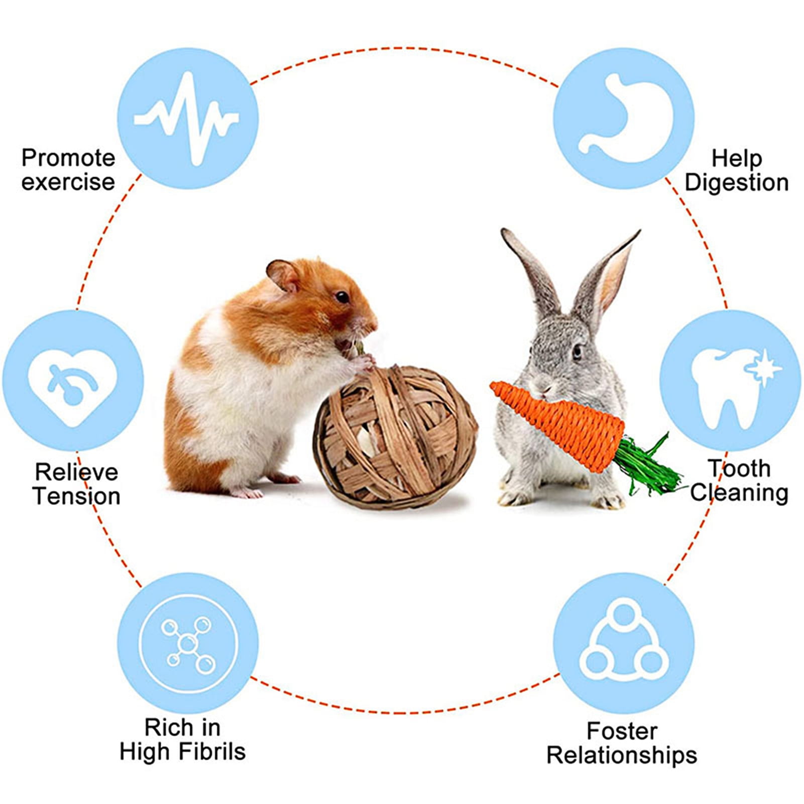 DOPI 6Pcs/Set Molar Toy Healthy Attractive Plastic Hamster Wooden Rattan Ball Set for Squirrels