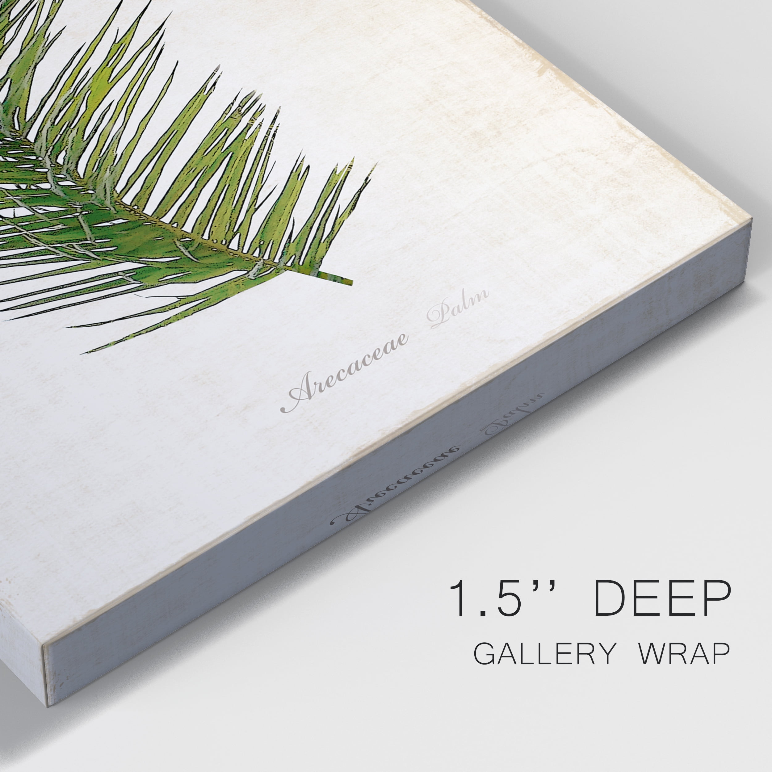 Palm Botanical II Premium Gallery Wrapped Canvas - Ready to Hang - 18 x 27