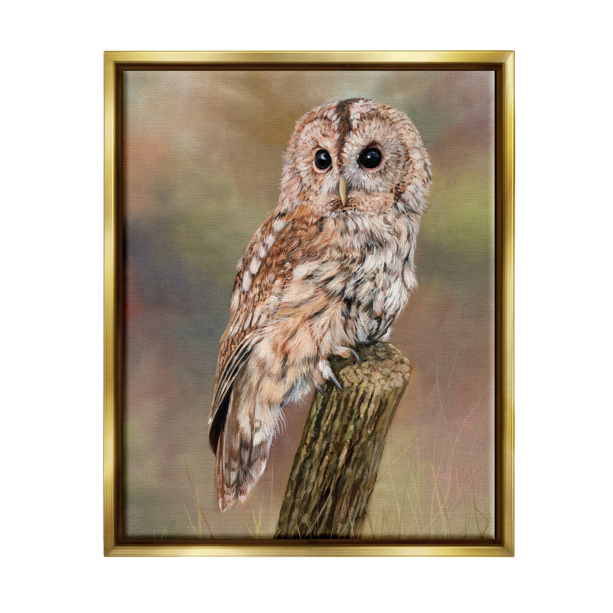 Stupell Industries Brown Tawny Owl Perched Intricate Woodland Wildlife Painting Painting Metallic Gold Floating Framed Canvas Print Wall Art, Design by David Stribbling