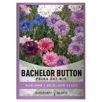 Dwarf Cornflower (Bachelor Button) Polka Dot Mix Seeds