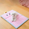thumbnail image 5 of Tapis pour Chiens 2025 Lit Portable Rafraîchissant pour Chien pour l'Été Lavable Idéal pour Usage Intérieur Extérieur, 5 of 5