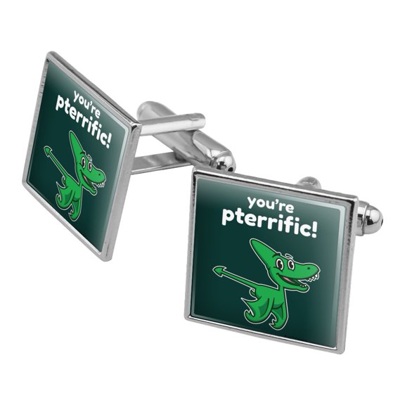 You're Pterrific Terrific Pteranodon Dinosaur Funny Humor Square Cufflink Set - Silver or Gold
