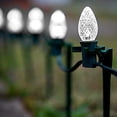thumbnail image 1 of C7 50FT Cool white LED Indoor and Outdoor Use, 1 of 6