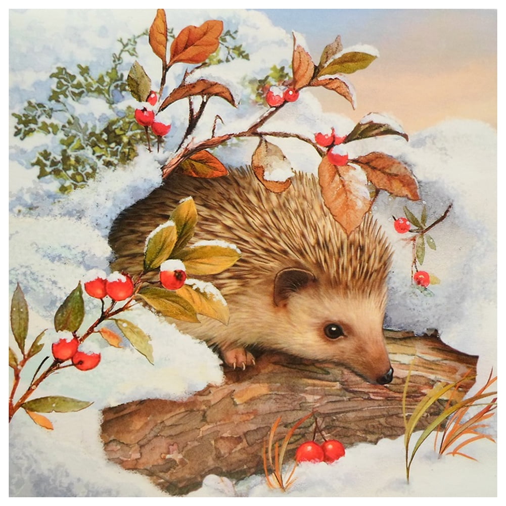5D Diamond Painting Kit Complete Diamond Embroidery Painting DIY Embroidery Cross-Stitch for Home Wall Decoration 1 Hedgehog 12X12 inches