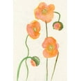 thumbnail image 2 of Ludwig, Alicia 17x24 White Modern Wood Framed Museum Art Print Titled - Petite Fleur III, 2 of 4