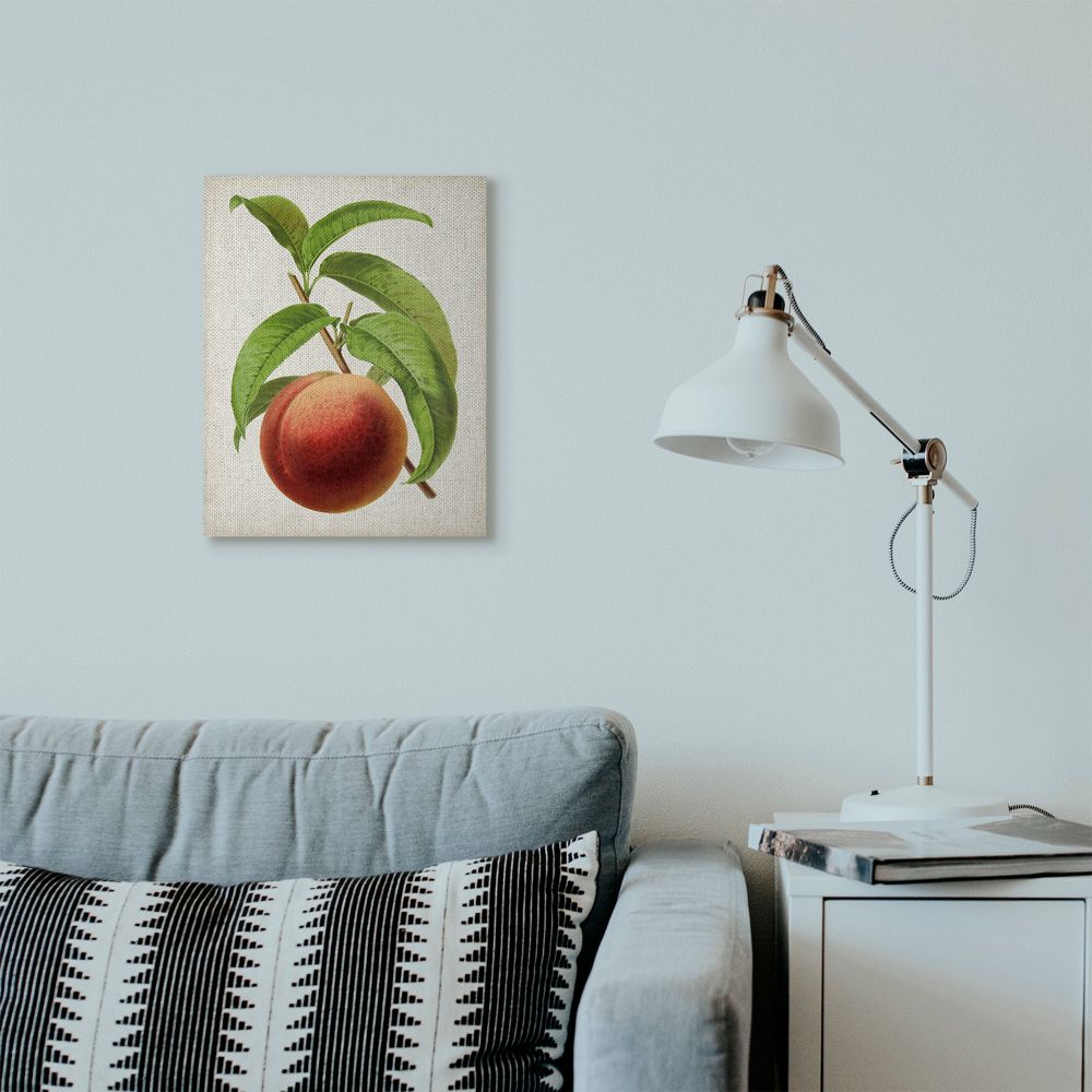 Stupell Industries Vintage Fruit Peach Painting Canvas Wall Art by Vision Studio