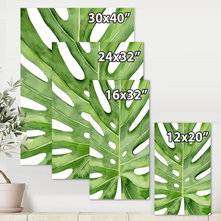 toom thai monstera Monstera Thai Constellation main image 0