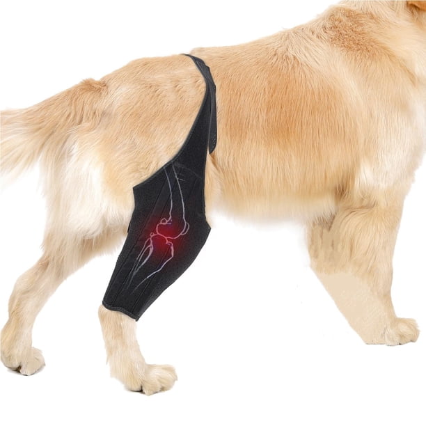 Rodillera para perro para apoyo con lesión del ligamento cruzado, rodillera ajustable para pierna de perro protege heridas para perros_L
