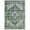 A1-Green, variant on CHITOOMA 8'x10' Area Rugs for Living Room, Machine Washable Rugs Vintage Area Rug for Bedroom Dining Room Dorm Office with Non-Slip Backing, Stain Resistant Non-Shed Carpet