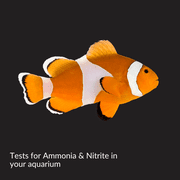 AQUARIAN Starter Test Kit