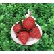 thumbnail image 4 of 18PCS Plastic Artificial Red Strawberries Fake Lifelike Simulation Realistic Strawberry Artificial Fruits Decoration Photography Prop for Home Kitchen, 4 of 5