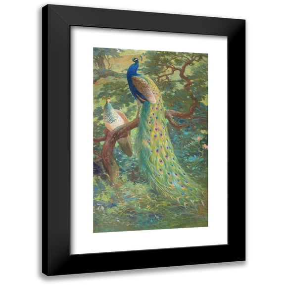 Charles Robert Knight 10x14 Black Modern Framed Museum Art Print Titled - Indian Peafowl (1918-1922)