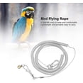 thumbnail image 2 of 6m Bird Harness Anti-bite Leash Parrot Flying Training Rope Traveling Walking Rope Pet Bird Leash Kits, 2 of 5