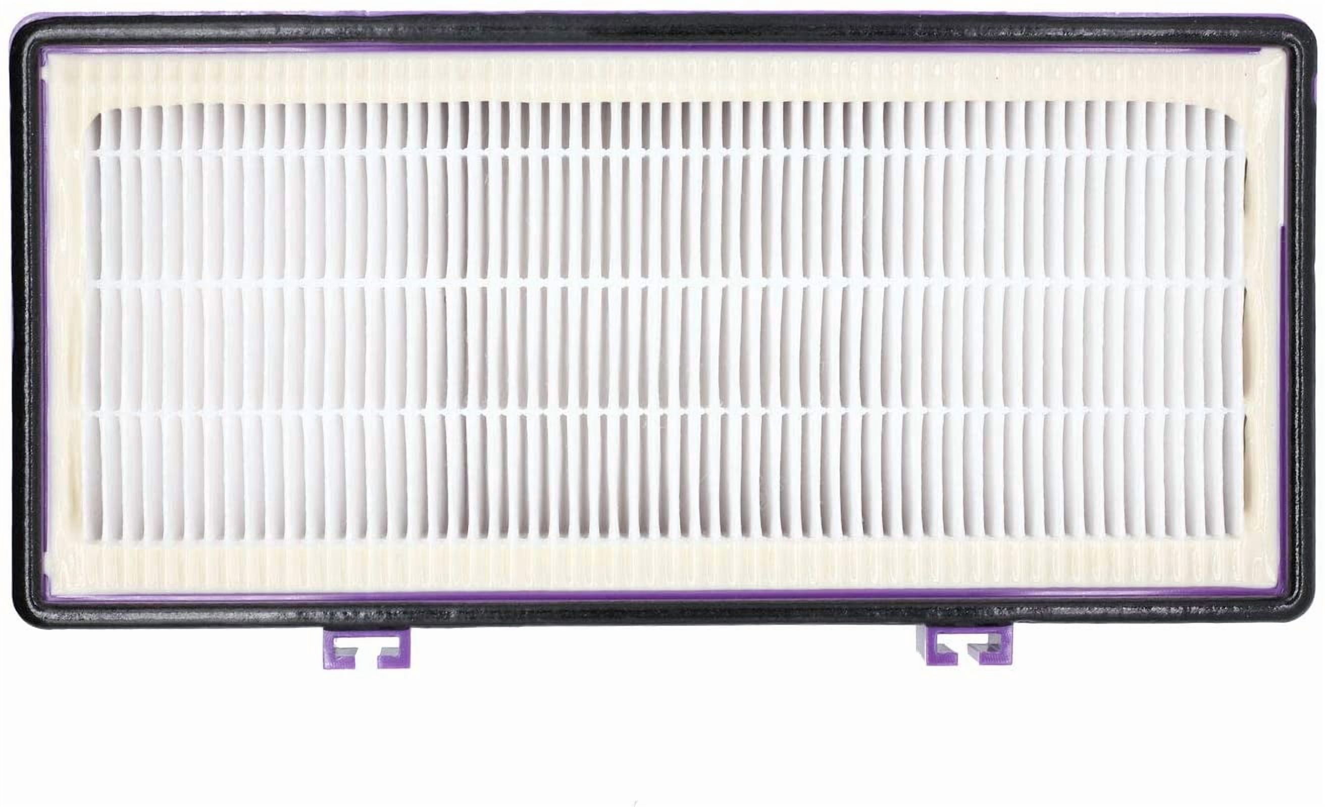 HEPA D Filter for Holmes AER1 HAPF300/HAP30 (4 Pack + 8 Pre-Carbon Sheet)