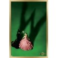 thumbnail image 1 of Wicked - Fiche d'introduction, 1 of 4