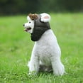 thumbnail image 2 of CHICHUMID Small Dog Costume Pet Makeup Decor Black PU 1Pcs for Photo Sessions, 2 of 8