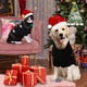 thumbnail image 2 of Ugly Christmas Pet Holiday Reno Perro Suéter, Rojo Negro Cachorro Gato Invierno Prendas de Punto Caliente Suéter Ropa para Perros Pequeños Medianos (Negro L), 2 of 5