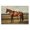 Chocolate Saddled Horse Portrait, variant on Stupell Industries French Country Chocolate Stag Saddled in Pasture Canvas Art, 24 x 16, by Petals Prints Design