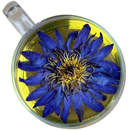 Egyptian Blue Lotus, Whole Flower | Organic, Bulk Size 8 oz | Tree Fifty Four