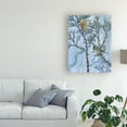 thumbnail image 3 of Trademark Fine Art 'Coexist I' Canvas Art by Melissa Wang, 3 of 3