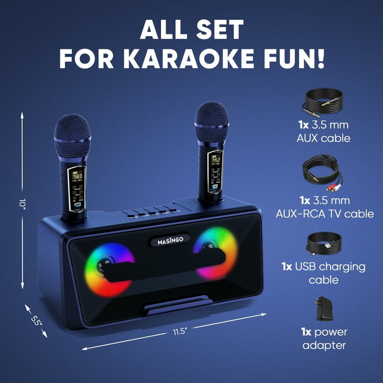 3. Những tính năng cần lưu ý khi chọn loa karaoke 2 mic